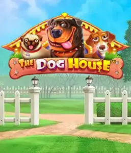 From Pragmatic Play comes The Dog House, offering an adorable adventure through playful pups. Discover gameplay elements such as multipliers, perfect for providing entertaining gameplay. A must-try for pet lovers a lighthearted theme with a chance for big wins.